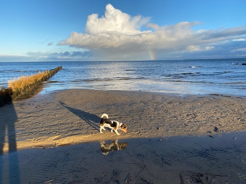 Unter blauem Winterhimmel ein Regenbogen am Strand des Haff in Uckermünde