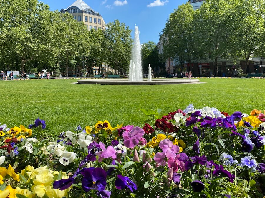 Park mit Blumen und Springbrunnen