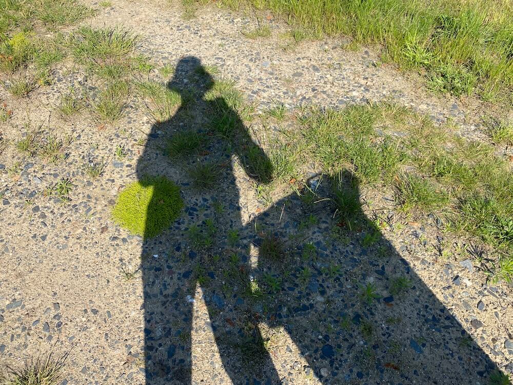 Schatten von Susanne am Eichhof Cottage