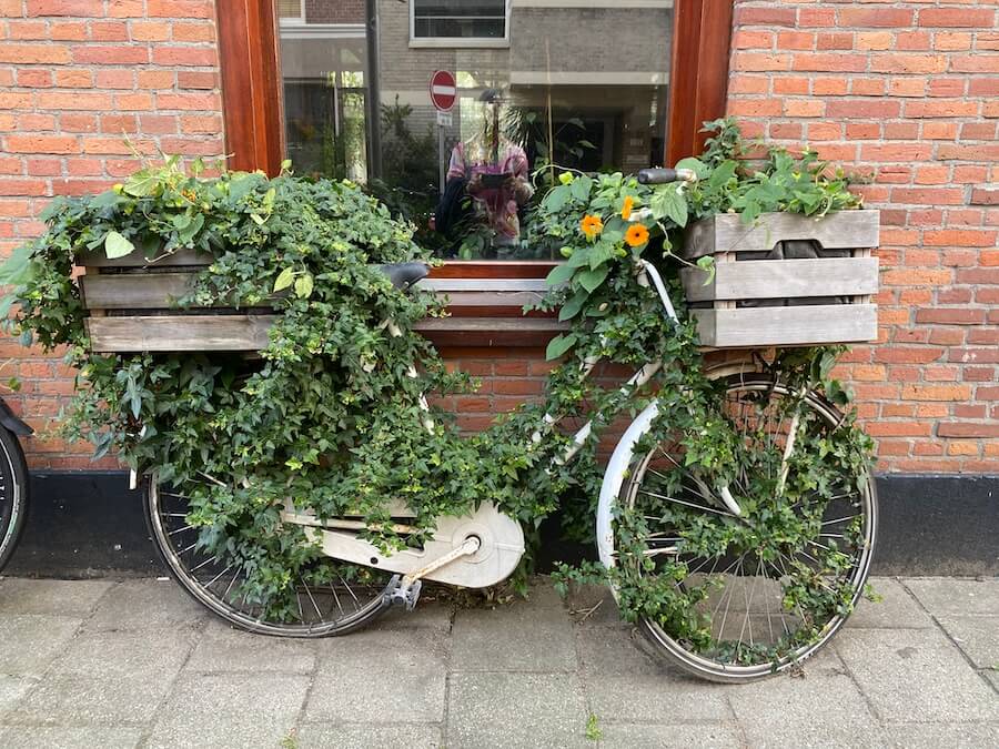 Bewachsenes Rad