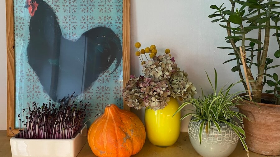 Kürbis und Blumen Arrangement