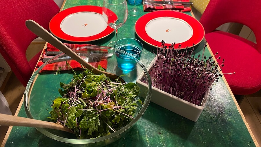 Salatschüssel mit Salat