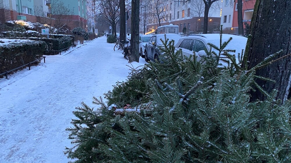 Weihnachtstannen am Straßenrand
