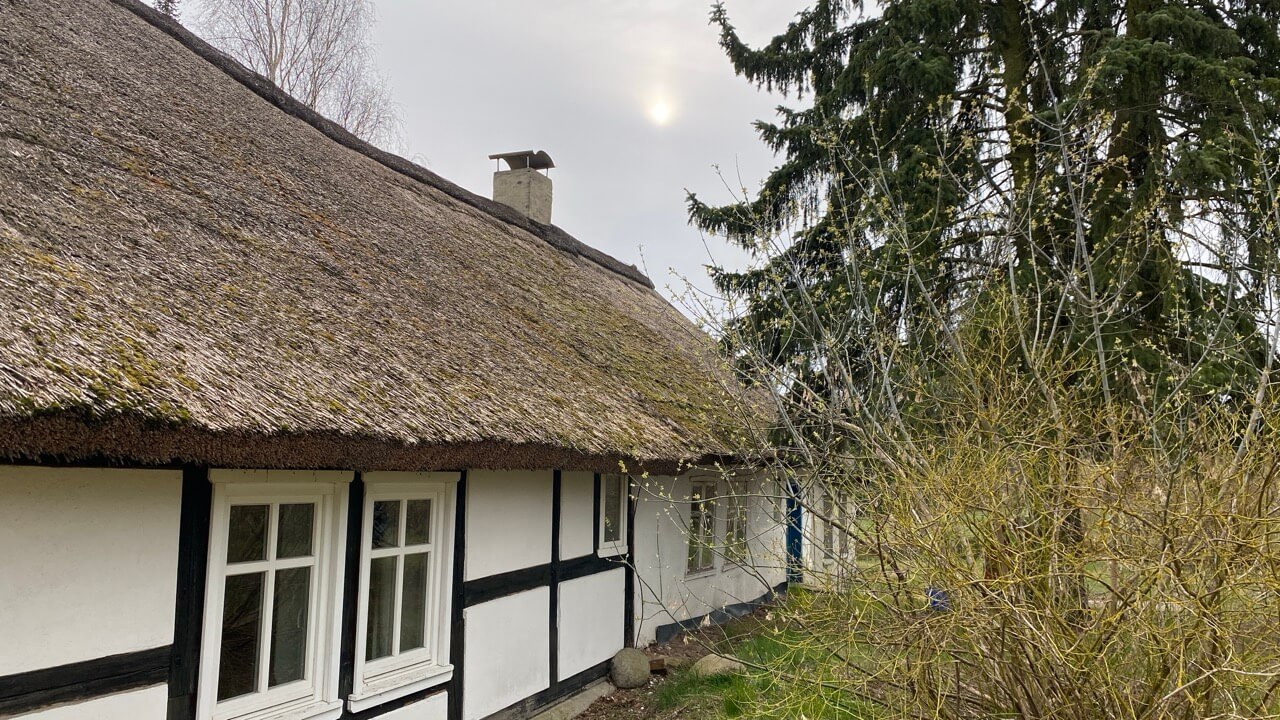 Eichhof Cottage neblige Sonne