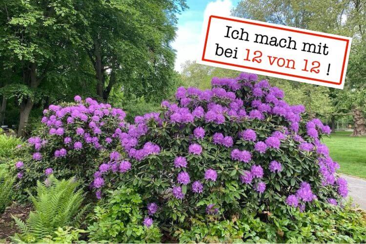 ich mach mit bei 12 von 12