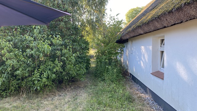 Am Haus vorher