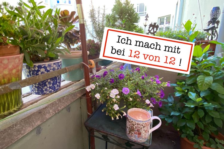 ich mach mit bei 12 von 12